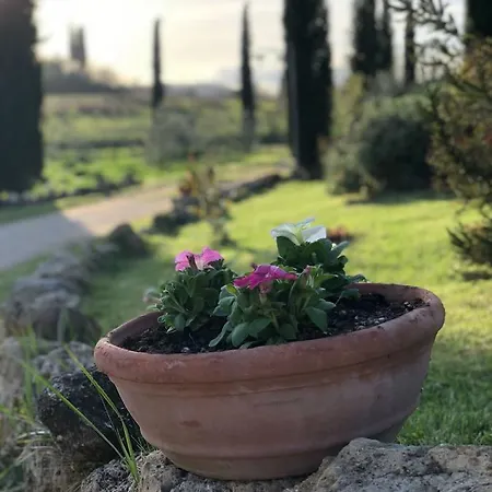 Fonteleccino
