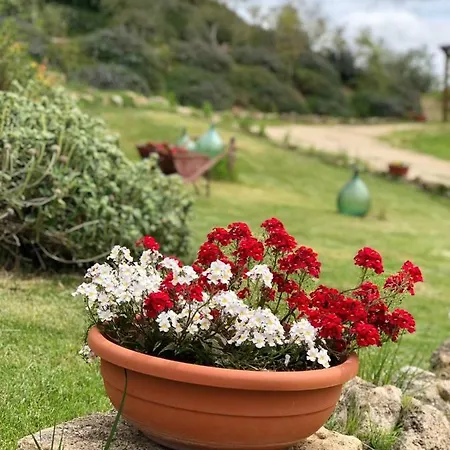Farm stay Fonteleccino Chianciano Terme